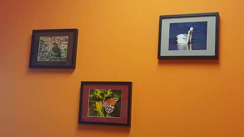 Verdin Pediatrics Verdin Pediatrics